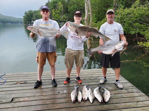 Nice Striped Bass