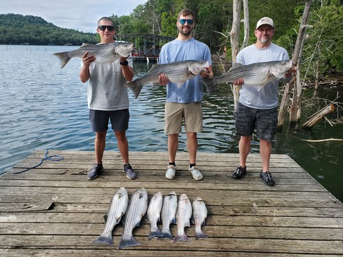 Nice Striped Bass