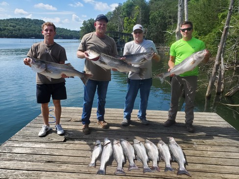 Nice Striped Bass