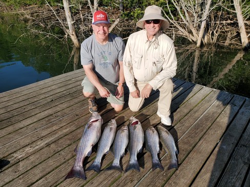 Nice Striped Bass