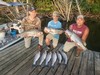 (07/27/2025) - Nice Striped Bass
