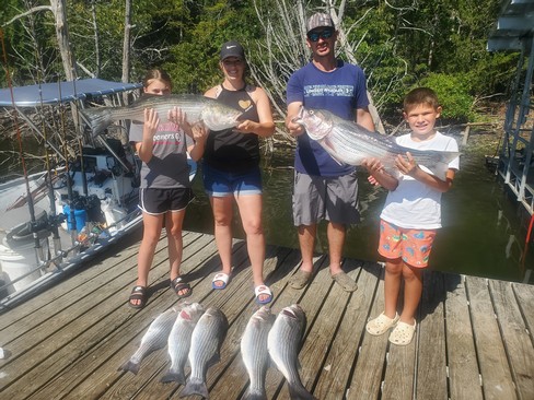 Nice Striped Bass