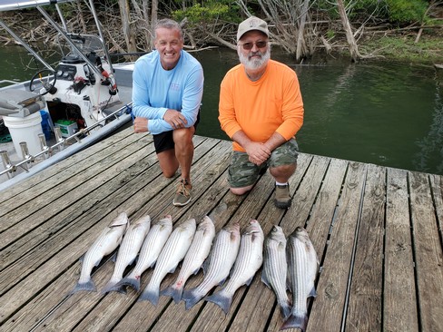 Nice Striped Bass