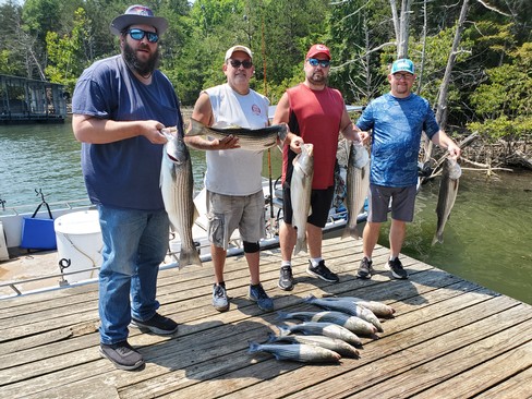 Nice Striped Bass