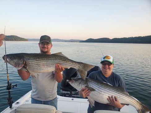 Nice Striped Bass