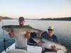(08/05/2025) - Nice Striped Bass