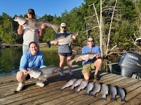 Nice Striped Bass