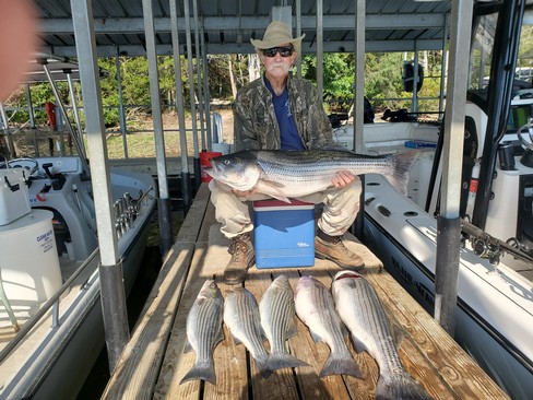 Nice Striped Bass