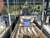 (08/07/2025) - Nice Striped Bass