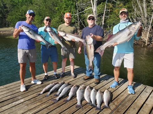 Nice Striped Bass