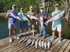 (08/09/2025) - Nice Striped Bass