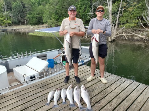 Nice Striped Bass