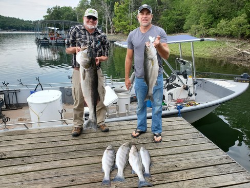 Nice Striped Bass