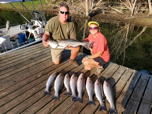 Nice Striped Bass