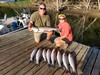 (08/15/2025) - Nice Striped Bass