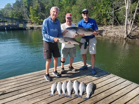 Nice Striped Bass