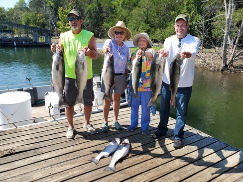 Nice Striped Bass