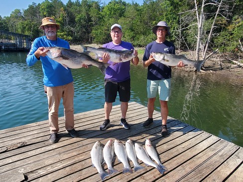 Nice Striped Bass