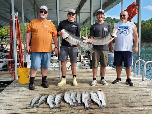 Nice Striped Bass