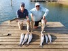 (08/22/2025) - Nice Striped Bass