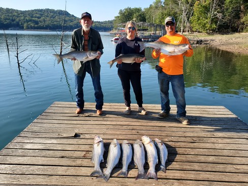 Nice Striped Bass