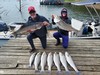 (08/28/2025) - Nice Striped Bass