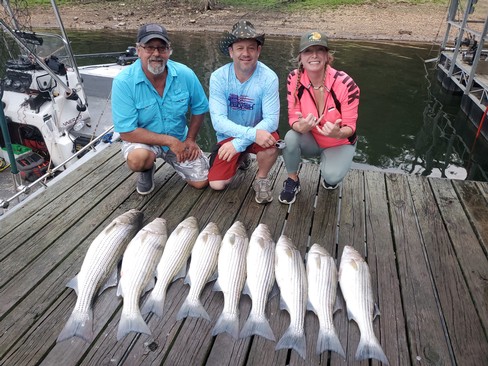 Nice Striped Bass