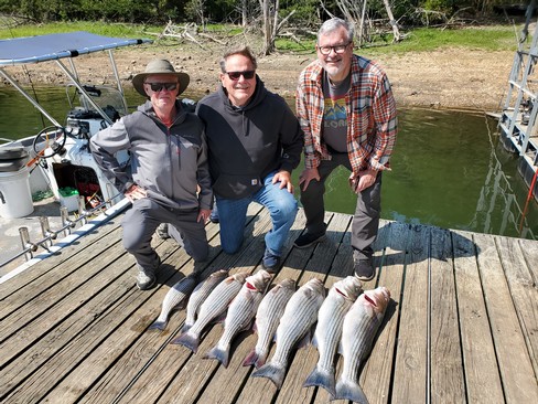 Nice Striped Bass