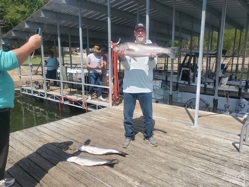 Nice Striped Bass