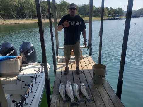 Nice Striped Bass