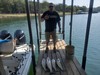 (09/18/2025) - Nice Striped Bass