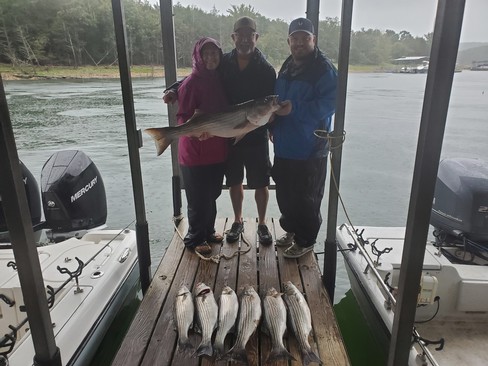 Nice Striped Bass