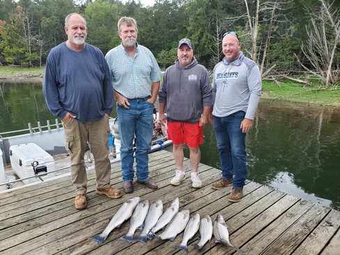 Nice Striped Bass