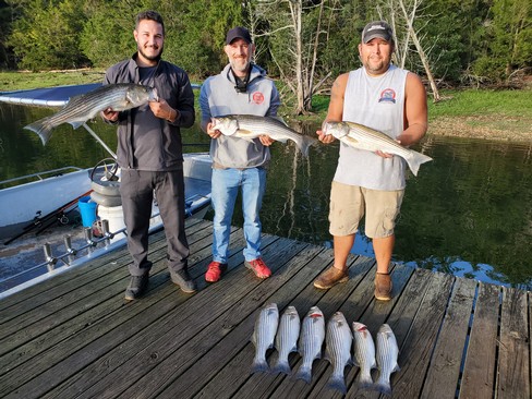 Nice Striped Bass