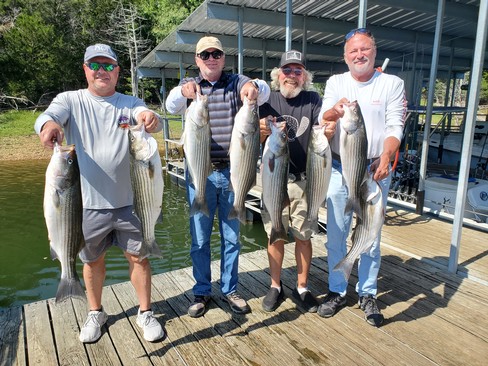 Nice Striped Bass