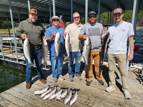 Nice Striped Bass