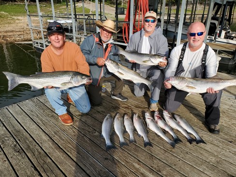 Nice Striped Bass