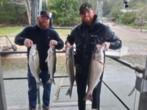 Nice Striped Bass