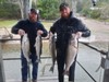 (10/18/2025) - Nice Striped Bass