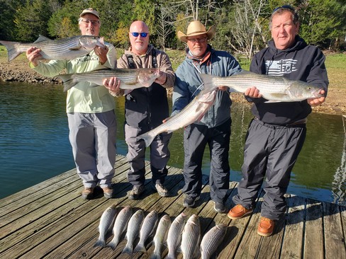 Nice Striped Bass