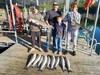 (10/20/2025) - Nice Striped Bass