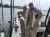 (10/25/2025) - Nice Striped Bass