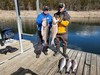 (02/26/2026) - Nice Striped Bass