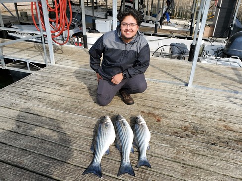 Nice Striped Bass