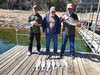 (03/19/2026) - Nice Striped Bass