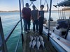 (03/21/2026) - Nice Striped Bass
