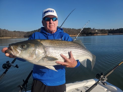 Nice Striped Bass