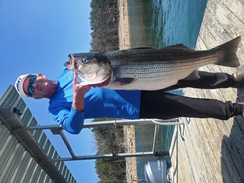 Nice Striped Bass
