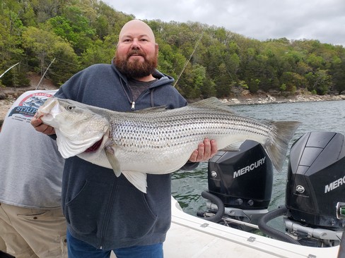 Nice Striped Bass
