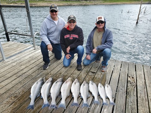 Nice Striped Bass